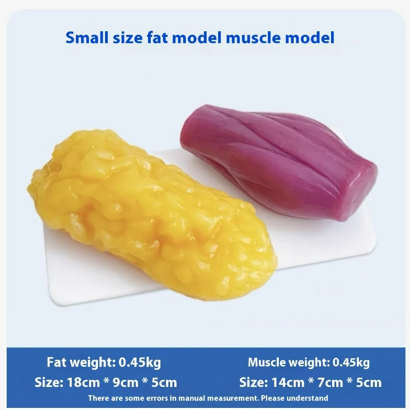 Menschliche Muskel- und Fettre – Nutrition Of Fitness Bewertung und Preis